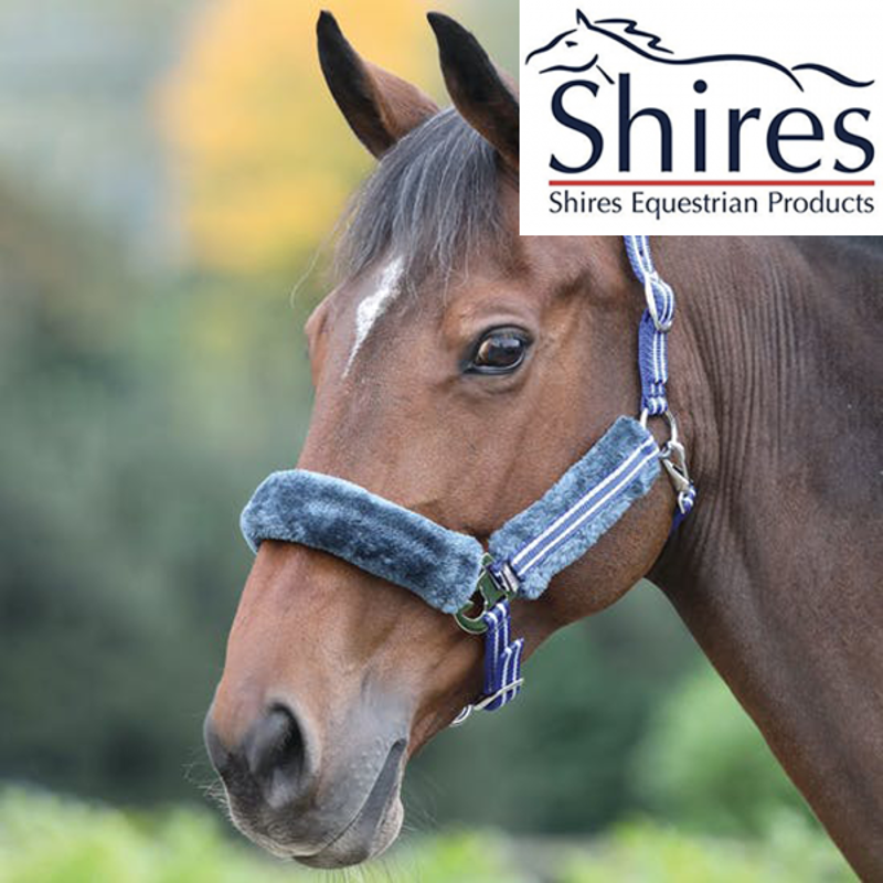 Shires Stripe Headcollar -navy